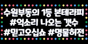 페이12+@ / 수원 / 광교 NO.1 광교 콜 독점 /  본테라피 압도적인 콜 다받아가요/대기없는 만콜 쌉가능 / 갯수보장 / 당일현금정산