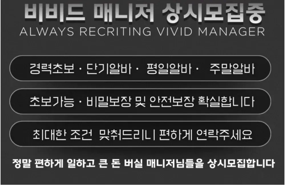 비비드 구인광고 이미지
